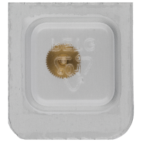 Stundenrad H2 (h=1,40 mm)