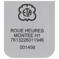 Stundenrad, montiert H1