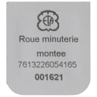 Wechselrad, montiert