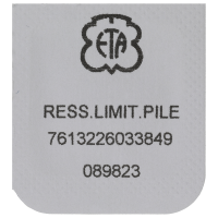 Begrenzungsfeder für Batterie