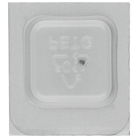 Schraube für Datumraste *alternativ* *alternativ*