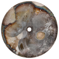 OMEGA Seamaster COSMIC Zifferblatt Ø 30,5 mm für Kal. 601