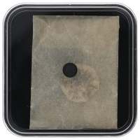 OMEGA Zifferblatt Maße 13,2 x 12 mm für Kal. 212