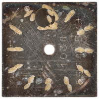 OMEGA Zifferblatt Ma&szlig;e 12,5 x 12,5 mm f&uuml;r Kal. 484