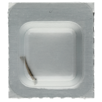 Aufzugwelle mänlich (L 5,10 mm / Ø 1,00 mm)