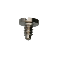 Schraube f&uuml;r Sperrrad