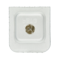 Mitnehmerrad für Sperrrad