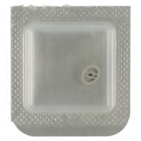 Minutenrohr mit Antriebsrad H0 (h=1,54 mm)