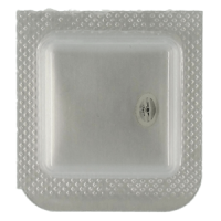 Minutenrohr mit Antriebsrad H2 (h=1,99 mm)