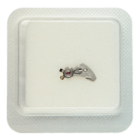 Unruhbrücke montiert