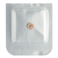 Umkehrrad (Ausführung mit Steinen)