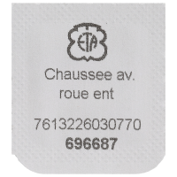 Minutenrohr mit Antriebsrad H2 (h=2,20 mm) Standard