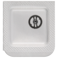 Minutenrohr mit Antriebsrad H7 (h=3,43 mm)