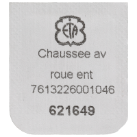 Minutenrohr mit Antriebsrad H8 (h=3,70 mm)