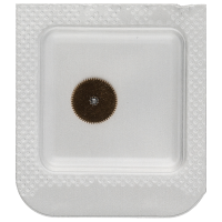 Mitnehmerrad für Sperrrad