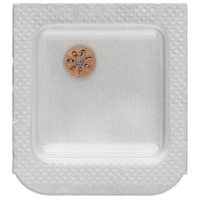 Umkehrrad (Ausführung mit Steinen)