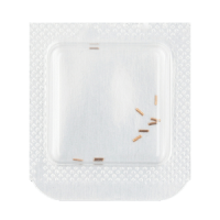 Lagerstift für Mitnehmerrad für Sperrrad Höhe total 0.145