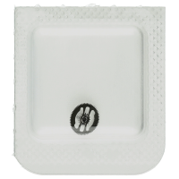 Minutenrohr mit Antriebsrad H2 (h=2,15 mm)