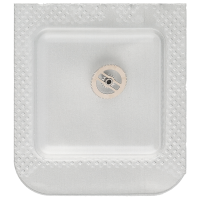 Minutenrohr mit Antriebsrad H3 (h=2,40 mm)