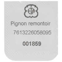 Aufzugtrieb / Kupplungsrad