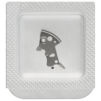 Halteplatte für Wechselrad