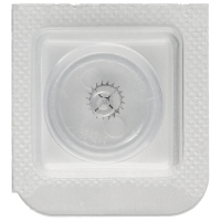 Hemmungsrad / Ankerrad