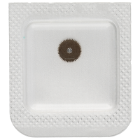 Mitnehmerrad für Sperrrad