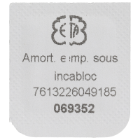 Stosssicherung für Unruh (Werkplatte)