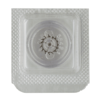 Hemmungsrad / Ankerrad