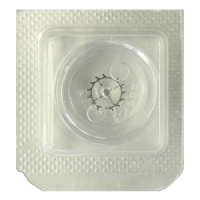 Hemmungsrad / Ankerrad