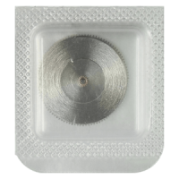 Federhaus vollständig