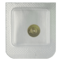 Datumanzeiger-Mitnehmerrad