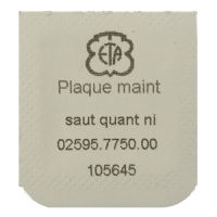 Halteplatte f&uuml;r Datumraste vernickelt