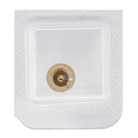 Datumanzeiger-Mitnehmerrad