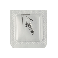 Feder für Datumraste