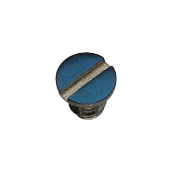 Schraube für Federhausbrücke, blau