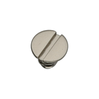 Schraube f&uuml;r Halteplatte f&uuml;r Datumraste