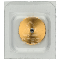 Federhaus mit Federwelle *alternativ*