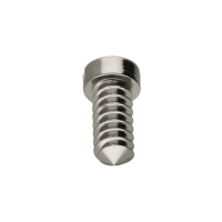 Schraube f&uuml;r Unruhbr&uuml;cke *alternativ*