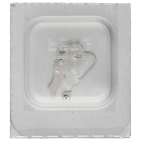 Datumraste *alternativ*