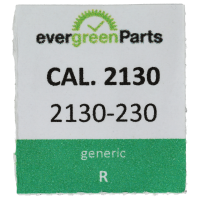 Winkelhebelraste *alternativ*