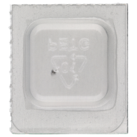 Schraube für Spiralfederträger *alternativ*