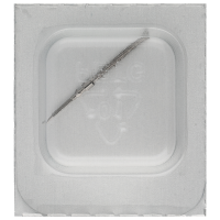 Aufzugwelle *alternativ*