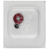 Umkehrrad *alternativ*