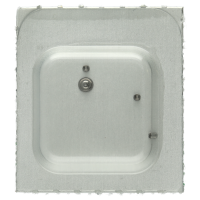 Repairing kit for Rotor (Plate +Screwx3 + Axle) *alternativ*