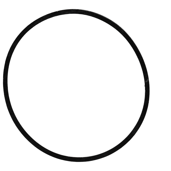 Gasket for caseback  flat *generic*
