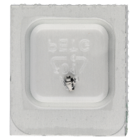 Federwelle *alternativ*