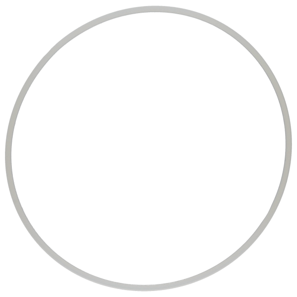 Glasdichtung (H=2,72 mm) *alternativ*