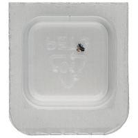 Schraube für Schwungmasse (Poliert, Blau, Rund, 7750) [900]