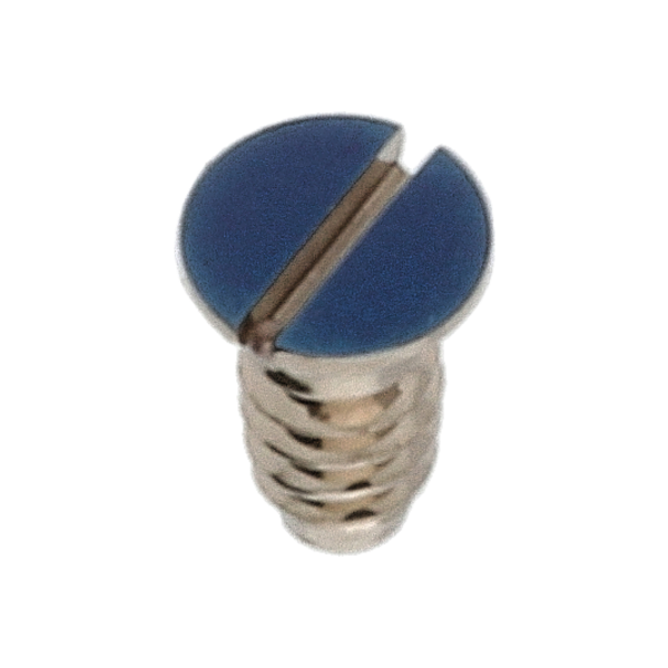 Schraube für Winkelhebelraste (Poliert, Blau, Rund, 7750) [906]
